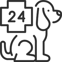 Hassayampa Canine Dog Boarding Facility in Prescott Arizona – Overnight Boarding Hassayampa Canine Dog Boarding Facility in Prescott Arizona - Overnight Boarding